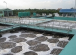 Danang Investment 2.000 billion to build four wastewater treatment plants in the form of Socialization