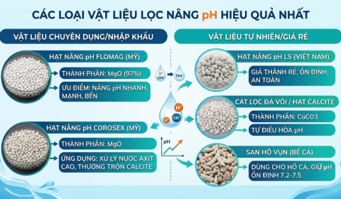 Các Loại Vật Liệu Lọc Nâng pH Hiệu Quả Nhất Trên Thị Trường Hiện Nay